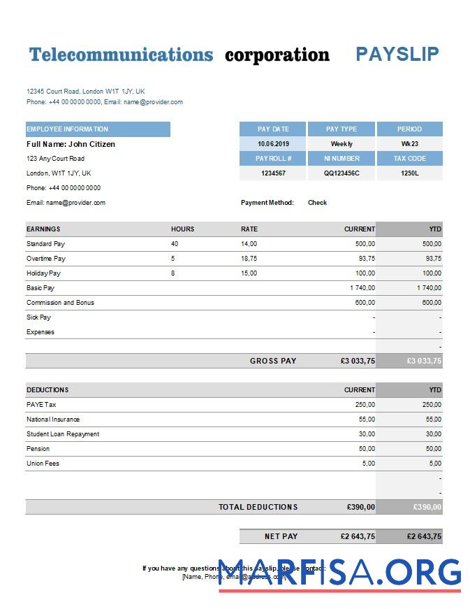 Printable Telecommunications corporation earning statement in template